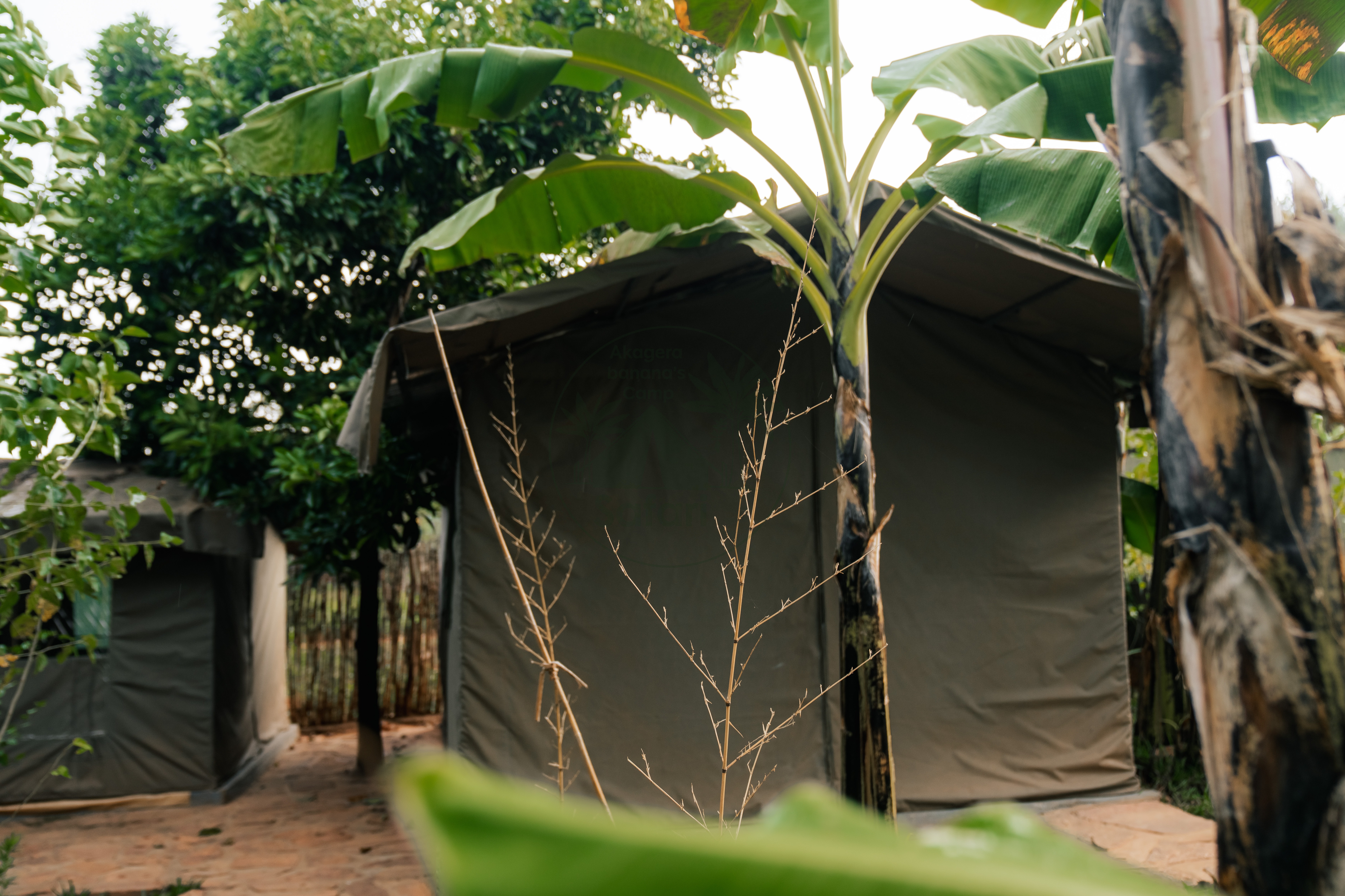 What It's Like to Sleep in a Safari Tent at Akagera