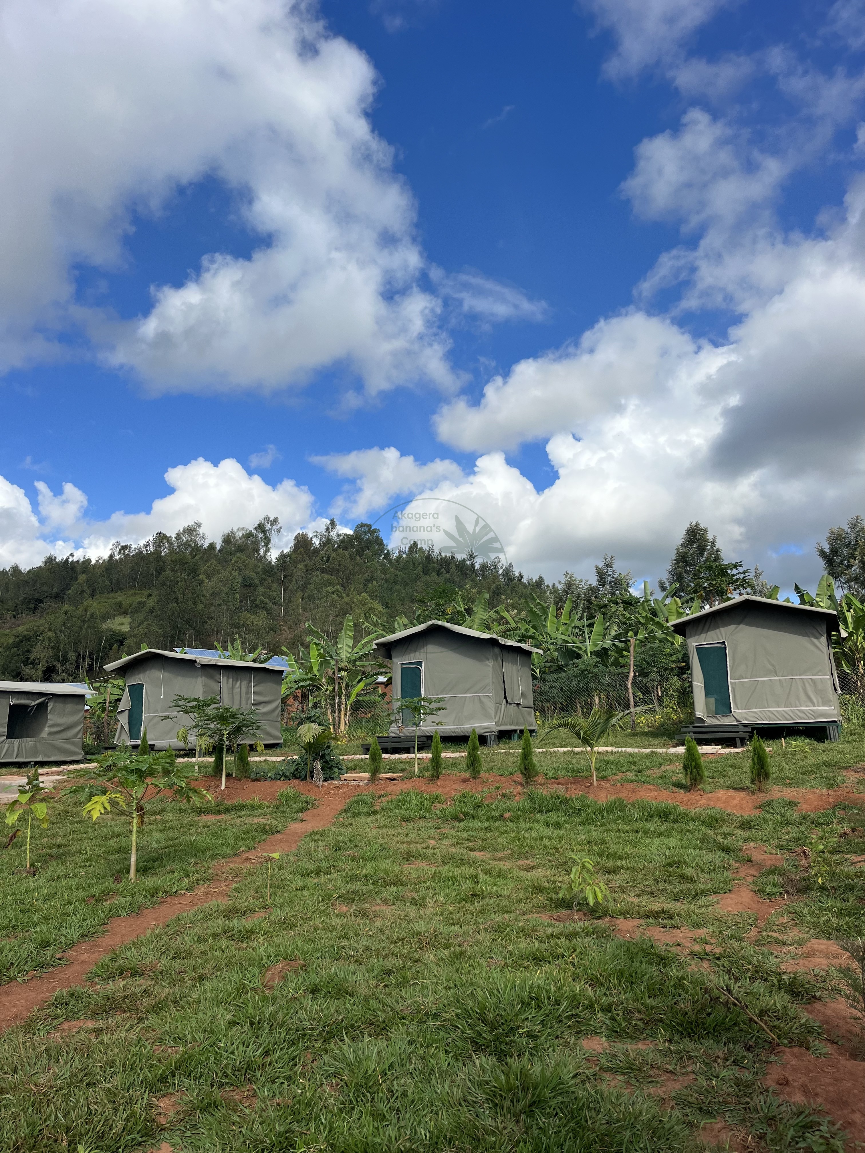 Banana Grove Campsite